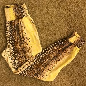 Bebe multicolored Printed Joggers